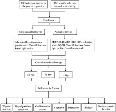 The different outcomes in the elderly with subclinical hypothyroidism diagnosed by age-specific and non-age-specific TSH reference intervals: a prospectively observational study protocol